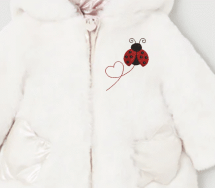 Cute Mini Ladybug Embroidery Design